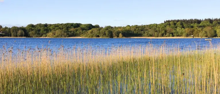 Handelsbetingelser og vilkår / Terms and conditions - Soul Alchemy