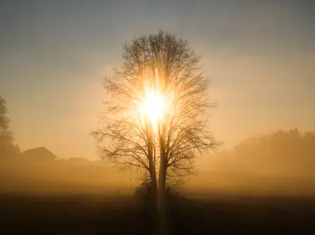 healing-energibalancering-intropris-lynge-farum-soul-alchemy